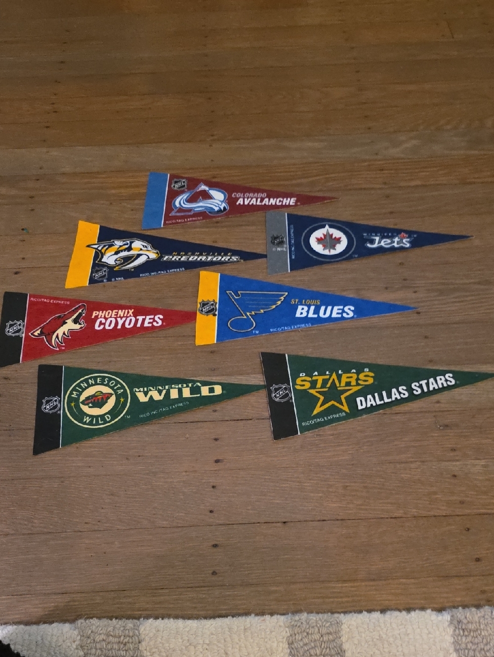 NHL Central Team Mini Pennants Set Of 7 – Assorted Team 4"x9"